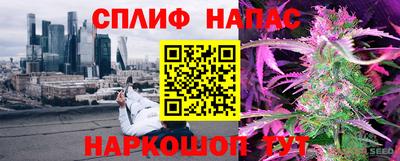 a pvp Камышлов