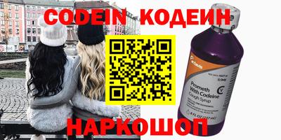 a pvp Камышлов