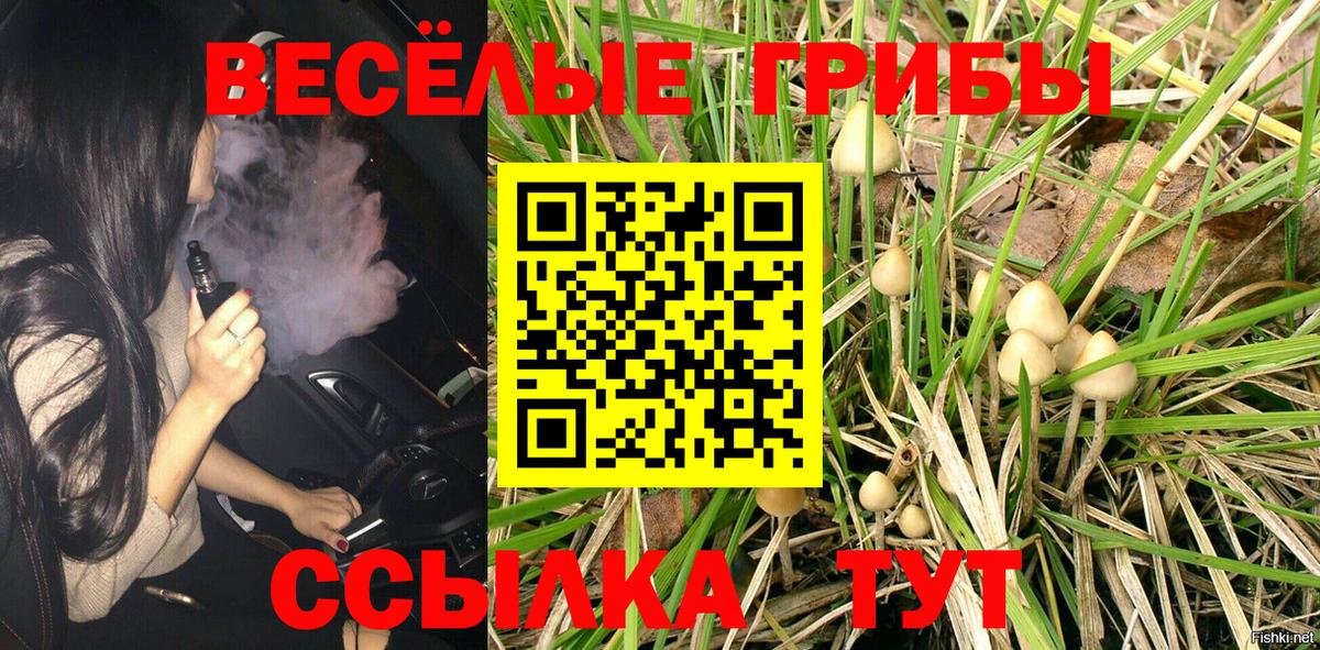 Псилоцибиновые грибы Psilocybe  Вход с VPN  Копейск 