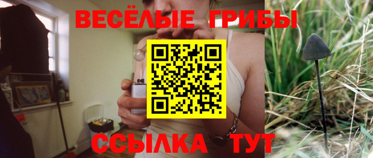 Галлюциногенные грибы Psilocybe Копейск
